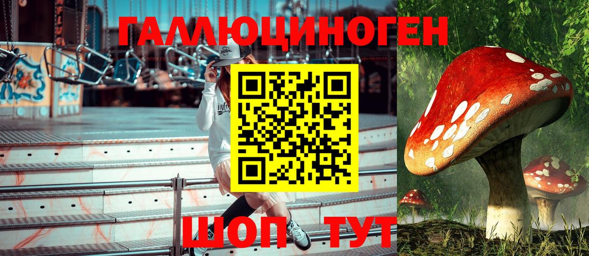 Галлюциногенные грибы мухоморы Азнакаево